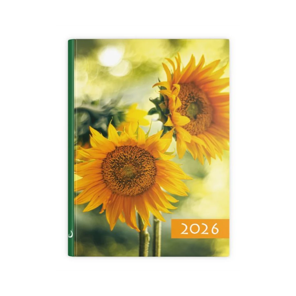 Terminarz Kolorowy słoneczniki B7. 2026r.