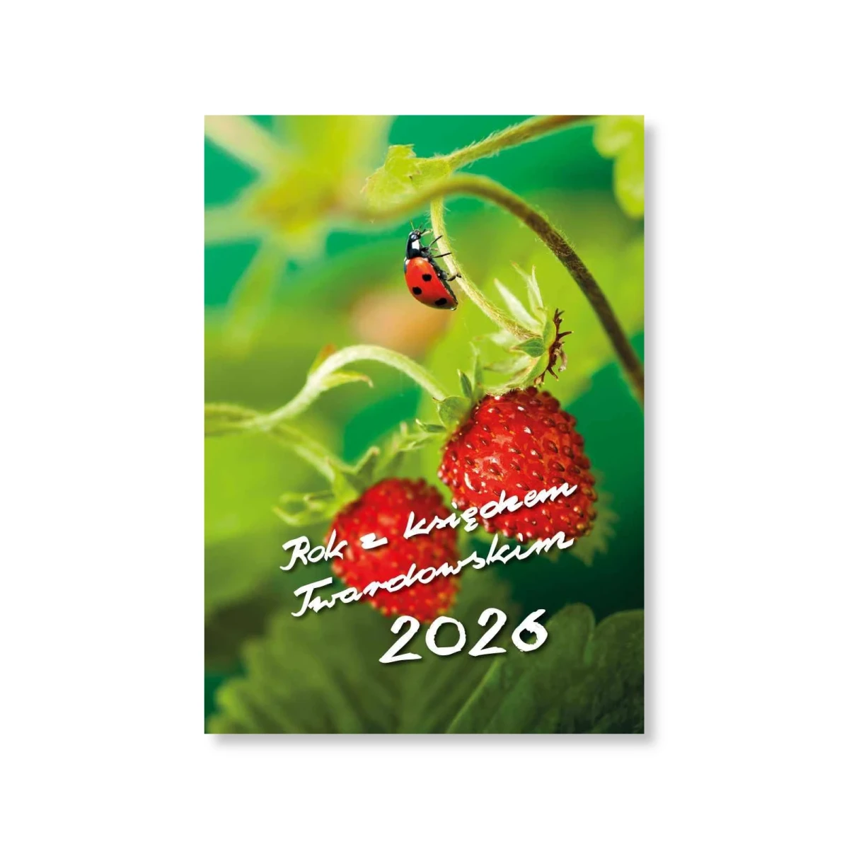 Terminarz z ks. Twardowskim. 2026. Biedronka