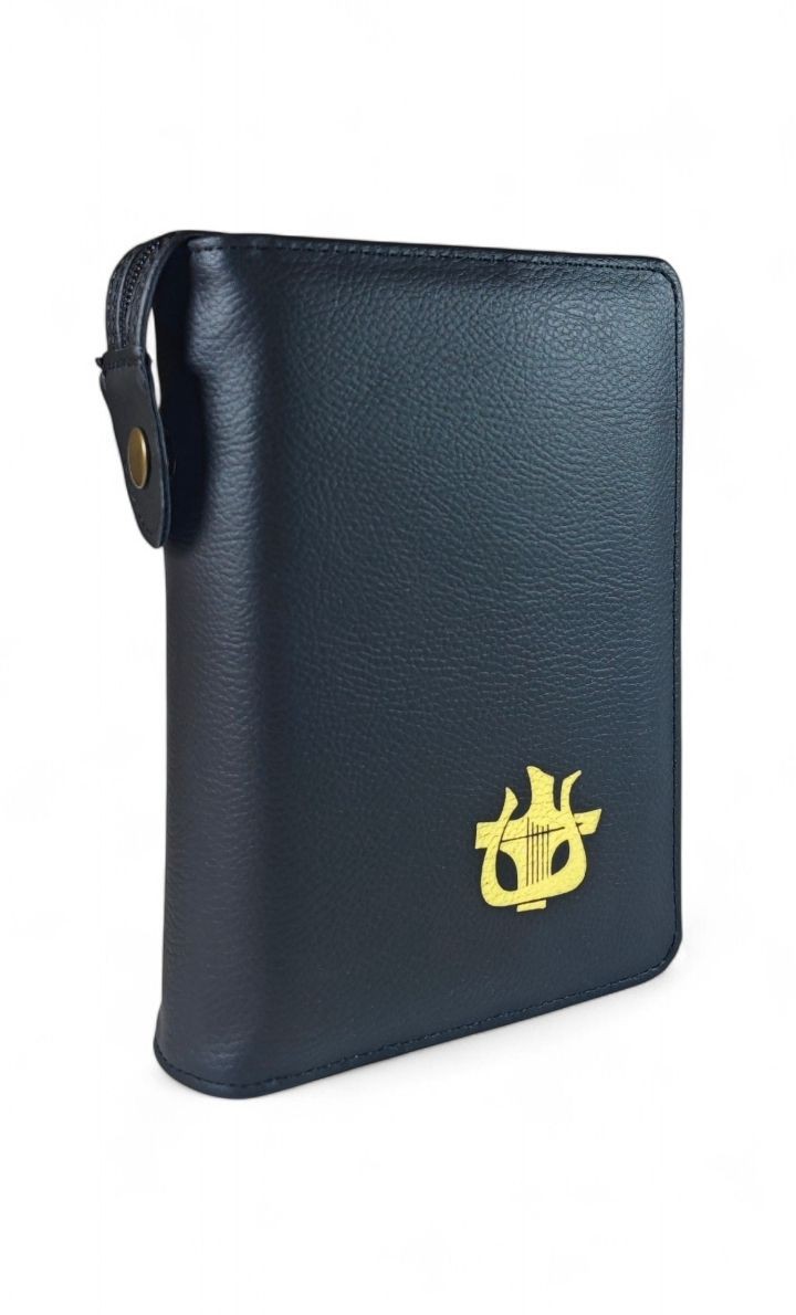 etui złocenie harfa.jpg