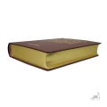 Biblia-tysiaclecia-Pallotinum-Eco-Zlocona 2.jpg