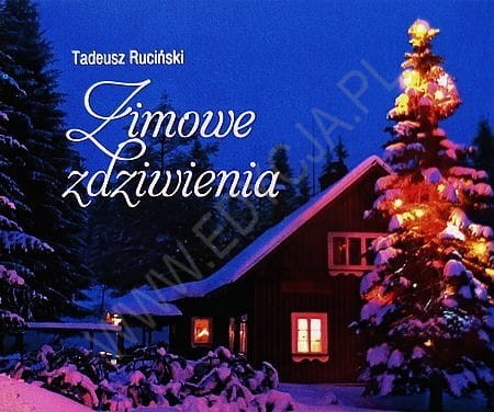 Zimowe zdziwienie. Perełka 19