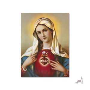 Magnes Najświętsze Serce Maryi