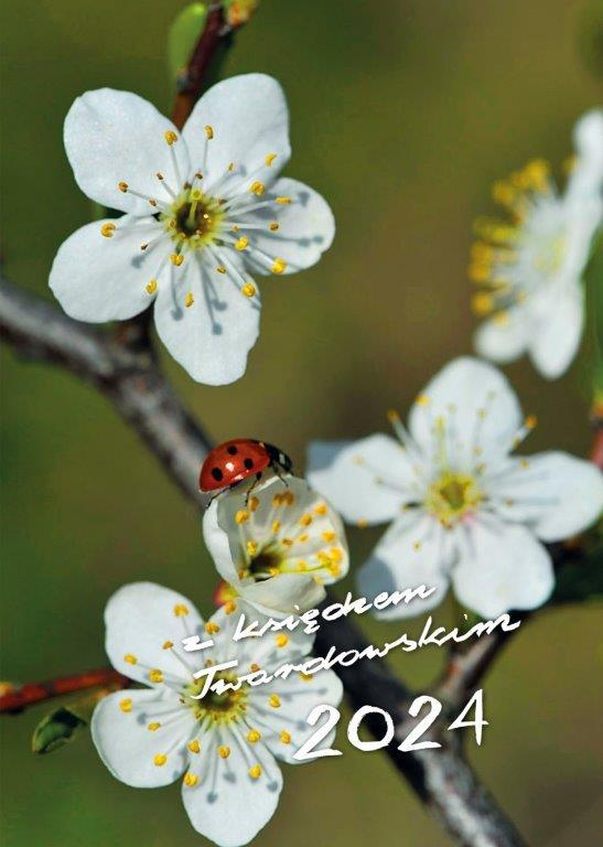 Terminarz z ks. Twardowskim. 2024. Biedronka